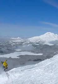 Does anyone know the story behind this? I was exploring trees at 49 that I  don't usually go in. Somewhere between Klondike and Sluice Box I believe ,  not a marked run