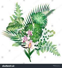 Realistic Detailed Illustration With Tropical Leaves And Orchid Flower Colorfull And Bright Design Elements For Cosmeti Tropical Leaves Orchids Orchid Flower