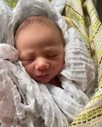 Liza Savage (@savagefit.nz) • Instagram photos and videos