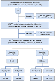 Flowchart For Enrollment Of Hyperthyroid Cats Into Study