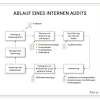 Dokumentation der auditergebnisse und verbesserungsmaßnahmen. 1