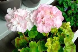 Характеристики