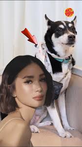 Aso ni Heart Evangelista na si Panda, Milyon ang Outfit! 🐶