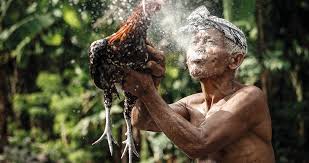 Check spelling or type a new query. Hashtag Sabungayambali Di Twitter