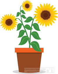 Free Free 58 Clipart Sunflower Jpg SVG PNG EPS DXF File