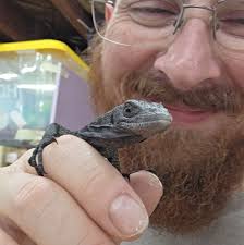 PVC sheets more available and cheaper in northern states?