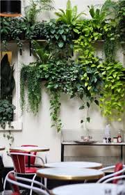 The plant wall should be as close to a window as possible. Vertical Garden Indoor Plant Wall Ideas Novocom Top