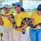 Snakes, Lizards & Frogs - Oh My!