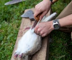 If a cat sees an opportunity to go after an easy target and toy with it, it may do so. Hunter Gathering Wild Fresh Food How To Skin Gut And Cook Rabbit Potted Rabbit With Chimichurri