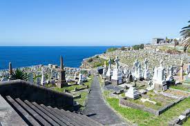 Waverley cemetery really old beautiful cemetery. Waverley Cemeteries Waverley Council