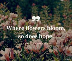 Androecium of brassica oleracea flower has six stamens, with four stamens of inner circle longer than two stamens of outer circle. Love This Inspirational Quote Where Flowers Bloom So Does Hope Let S Bloom Bloom Quotes Flower Quotes Stupid Cancer