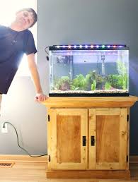 How To Build An Aquarium Cabinet Stand The Start Of A Man Cave Aquarium Cabinet Diy Aquarium Stand Diy Aquarium
