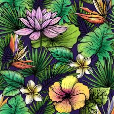 We did not find results for: Tropical Seamless Pattern Free Vector Nohat Free For Designer