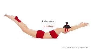 Shalabhasana Meaning Steps Benefits Classic Yoga Ashtanga Yoga Ashtanga Yoga