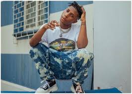 Zlatan junior net worth / 1 : Zlatan Ibile Net Worth