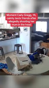 Carly Gregg Trial: Pursuing Insanity Defence