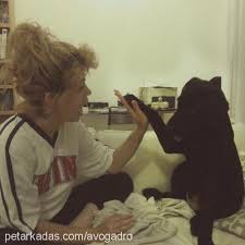 Kedim Cok Zayifladi Petarkadas Com