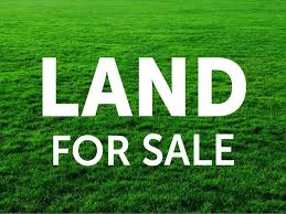 Land for sale suitable for solar farm at sps penang. Development Land Georgetown Main Road Quick Sale Penang Land For Sale Or Rent