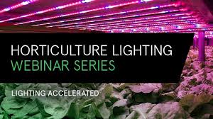 Sic code show 5193, flowers, nursery stock, and florists. Osram Opto Semiconductors Authorized Distributor Avnet
