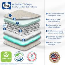 Does your baby need a crib mattress? Sealy Ortho Rest 2 Stage Crib Mattress Toddler Mattress Sealy Baby