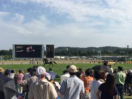 芸能人 競馬予想 ウイニング競馬予想 東スポ 虎石予想 スポニチ 万哲予想 競馬展望プラス 予想 海外競馬 交流g1 予想成績 未分類. Bu5klni0rwhepm