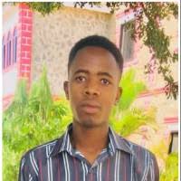 3000+ "Nicodemus" profiles