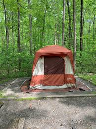 Map to locust shade park lake: Where The Trout Are Stocked Picture Of Locust Lake State Park Mahanoy City Tripadvisor