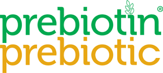 Prebiotics Vs Probiotics What Are The Key Differences