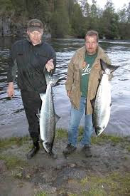 Numedalslågen stretches for over 250 kilometres (160 mi) through the counties of vestfold and telemark and viken_(county). Fisketips