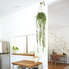 How To Hang Plants From Ceiling Ceiling Plant Hooks Hang Plants From Ceiling Without Holes Minimalist Home Decor Hang Plants From Ceiling Home Decor