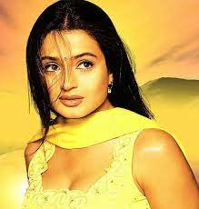 Pin On Amisha Patel