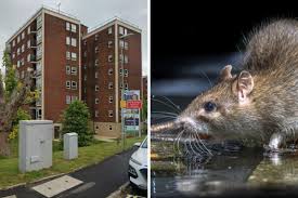 Rachael Margaret leaked I am an older dude so it is!