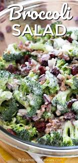 Broccoli Salad Is The Fun Summer Salad Recipe That You Didn T Know You Were Missing Fresh And Colorful Bro Broccoli Recipes Summer Salad Recipes Summer Salads