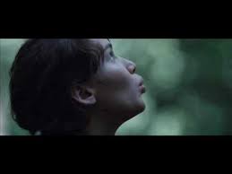 If playback doesn't begin shortly, try restarting your device. The Hunger Games Mockingjay Call Katniss Whistle Youtube