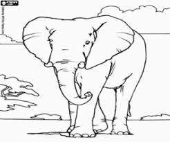 This is a set of pictures with the largest mammal living on land. Elephants Coloring Pages Printable Games