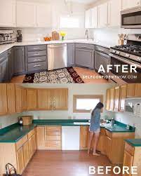 Choosing New Kitchen Cabinets Easy Diy Guide Home Decor Kitchen Kitchen Renovation Home Kitchens
