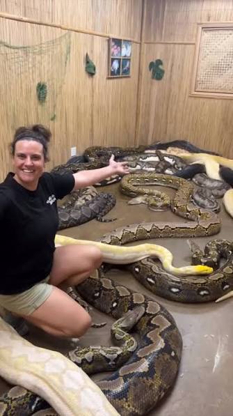 The Room of Secrets😳 These reticulated pythons are giants and have  incredible growth spurts, growing into some of the largest snakes in the  world! It’s a powerful reminder of the commitment required ...