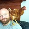 And any sound can be a bridge as long as you can make it consistently so your chickens don't get confused. Https Encrypted Tbn0 Gstatic Com Images Q Tbn And9gctfbx9urfcbhkiqsot Wgtzskcovvfffdyfjfv5rauhd9wshp5v Usqp Cau