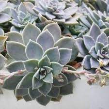 epingle sur jardin bob et tracteurs pour enfants coloriages gratuits de le constructeur