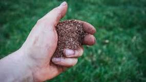 Image result for what cost for reseeding golf course