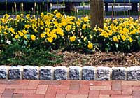How to install belgian block driveway edging Belgian Block Com