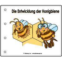 Projekt Bienen Kindergarten Und Kita Ideen Bienen Kindergartenthemen Projekte Im Kindergarten