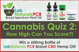 Ask questions and get answers from people sharing their experience with substance. Cannabis Quiz 2 The Sequel Blogh