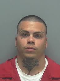 Lee County Arrests 6/6