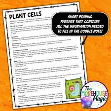 Animal cell suggestions for use: Plant Cells And Organelles Doodle Notes Science Doodle Notes Tpt
