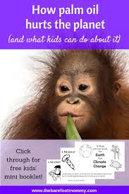 How Palm Oil Hurts The Planet And What Kids Can Do The Barefoot Mommy Palm Oil Service Projects For Kids Mini Booklet
