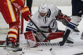 Ice Hockey: Three stars and daily stat leaders for Jan. 8