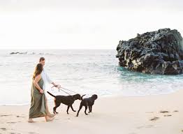 As you might imagine, the cost of taking a dog to hawaii will add up. How Much Does It Cost To Live In Hawaii Cost Of Living In Paradise