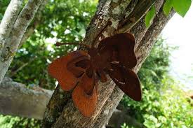 Wunderschoner Schmetterling Edelrost An Den Baum Schrauben Wunderschoner Butterfly Rost Fur Deinen Garten Gartendekoration Zum Schrauben Beautiful Tree Beautiful Butterflies Beautiful