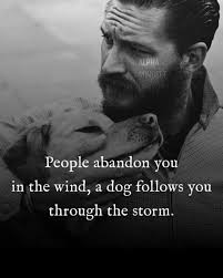 Texoma Pets Lost and Found